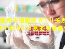 章鱼和干细胞的 🐛 关系（章鱼和干细 🐟 胞的关系是什么）